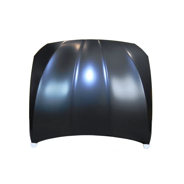 Capó BMW F10 / F11 10-16 Aluminio